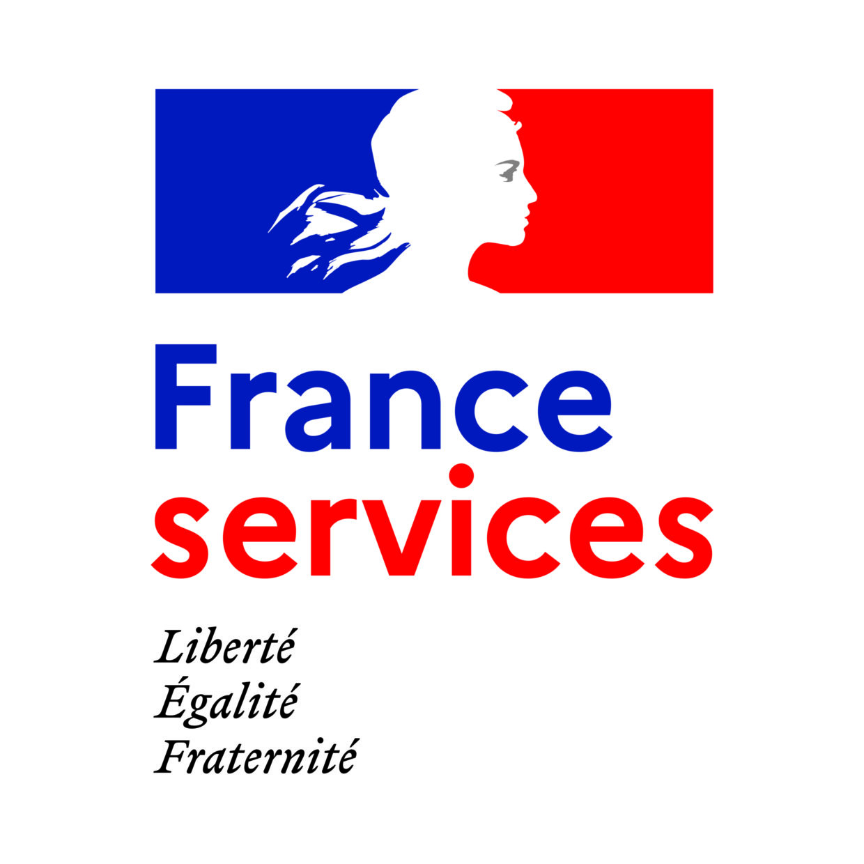 FRANCE_SERVICES_PLAQUE_210x210_CMJN